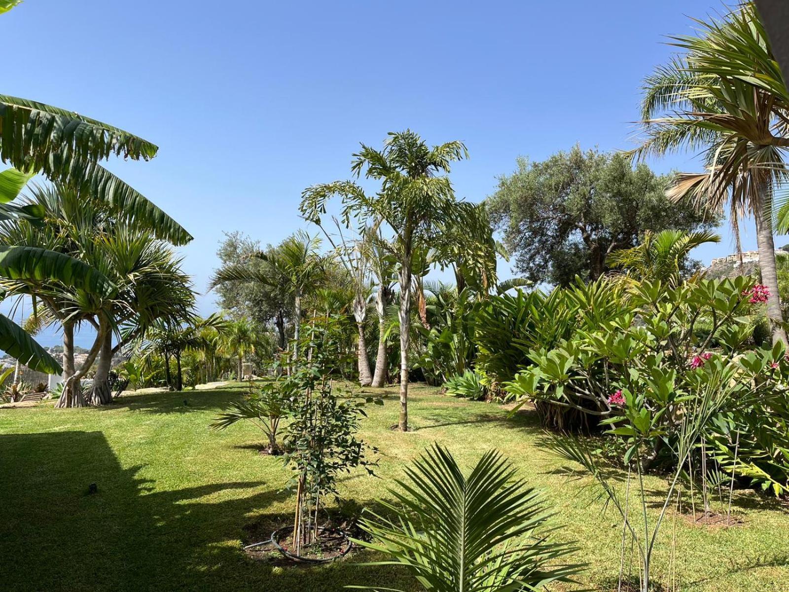 Bed & Breakfast In Villa Eden Palm Benalmádena Exterior foto